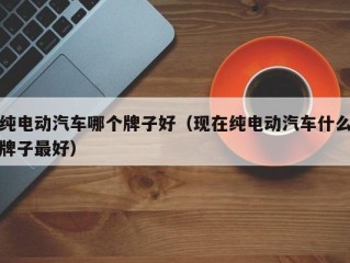 纯电动汽车哪个牌子好（现在纯电动汽车什么牌子最好）
