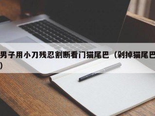 男子用小刀残忍割断看门猫尾巴（剁掉猫尾巴）