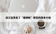浙江选育出了“螺蛳粉”樱花的简单介绍