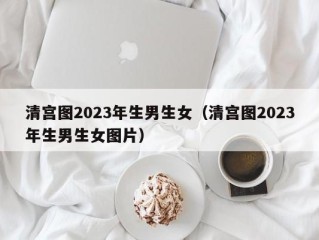 清宫图2023年生男生女（清宫图2023年生男生女图片）