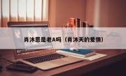 肖沐恩是老A吗（肖沐天的爱情）