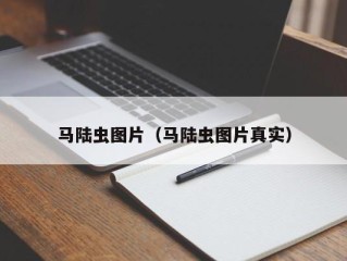 马陆虫图片（马陆虫图片真实）