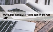 中汽协删除车企承诺不打价格战条款（中汽协 6月）