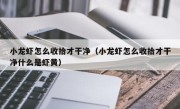小龙虾怎么收拾才干净（小龙虾怎么收拾才干净什么是虾黄）