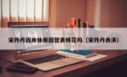 宋丹丹因身体原因暂离桃花坞（宋丹丹表演）