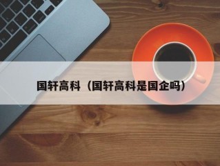 国轩高科（国轩高科是国企吗）