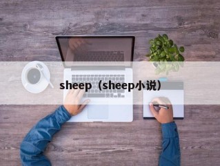 sheep（sheep小说）