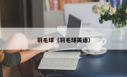 羽毛球（羽毛球英语）