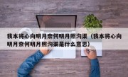 我本将心向明月奈何明月照沟渠（我本将心向明月奈何明月照沟渠是什么意思）