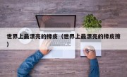 世界上最漂亮的橡皮（世界上最漂亮的橡皮擦）