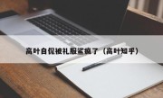 高叶自侃被礼服鲨疯了（高叶知乎）