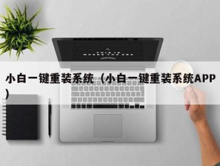 小白一键重装系统（小白一键重装系统APP）