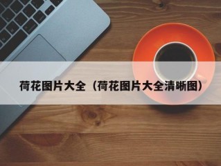 荷花图片大全（荷花图片大全清晰图）
