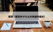 蜀葵（蜀葵种子什么时候播种最好）