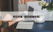 欧拉好猫（欧拉好猫价格）