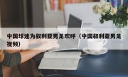 中国球迷为叙利亚男足欢呼（中国叙利亚男足视频）