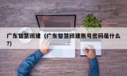 广东智慧团建（广东智慧团建账号密码是什么?）
