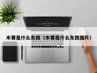 木薯是什么东西（木薯是什么东西图片）