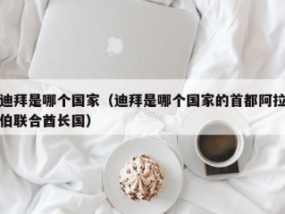 迪拜是哪个国家（迪拜是哪个国家的首都阿拉伯联合酋长国）