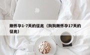 刚怀孕1-7天的征兆（狗狗刚怀孕17天的征兆）