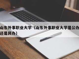 山东外事职业大学（山东外事职业大学是公办还是民办）