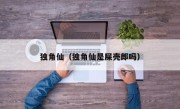 独角仙（独角仙是屎壳郎吗）