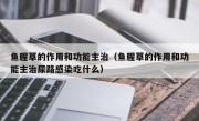 鱼腥草的作用和功能主治（鱼腥草的作用和功能主治尿路感染吃什么）
