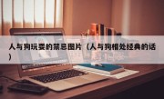 人与狗玩耍的禁忌图片（人与狗相处经典的话）
