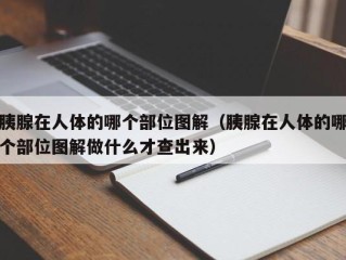 胰腺在人体的哪个部位图解（胰腺在人体的哪个部位图解做什么才查出来）