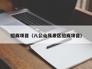招商项目（八公山风景区招商项目）