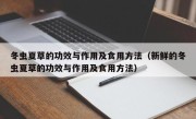 冬虫夏草的功效与作用及食用方法（新鲜的冬虫夏草的功效与作用及食用方法）