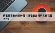 镇宅最吉利的三种花（镇宅最吉利的三种花君子兰）