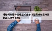港媒曝谢霆锋王菲正式分手（港媒曝谢霆锋王菲正式分手视频）