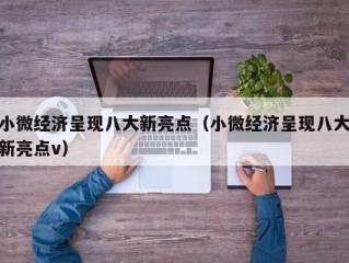 小微经济呈现八大新亮点（小微经济呈现八大新亮点v）
