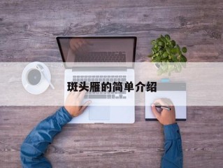 斑头雁的简单介绍