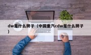 dw是什么牌子（中国重汽cdw是什么牌子）