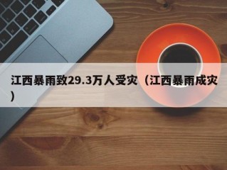 江西暴雨致29.3万人受灾（江西暴雨成灾）