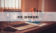 彭丹（彭丹南泥湾）