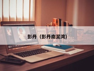 彭丹（彭丹南泥湾）