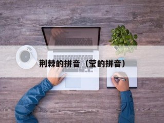 荆棘的拼音（莹的拼音）