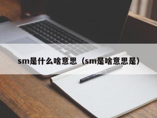 sm是什么啥意思（sm是啥意思是）