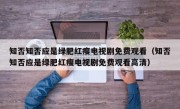 知否知否应是绿肥红瘦电视剧免费观看（知否知否应是绿肥红瘦电视剧免费观看高清）