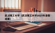 武汉理工大学（武汉理工大学2025年录取结果）