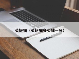 英短猫（英短猫多少钱一只）