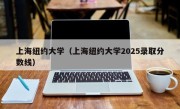 上海纽约大学（上海纽约大学2025录取分数线）
