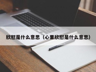 欣慰是什么意思（心里欣慰是什么意思）