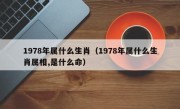 1978年属什么生肖（1978年属什么生肖属相,是什么命）