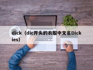 dick（dic开头的衣服中文名Dickies）