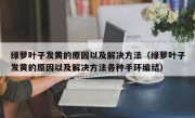 绿萝叶子发黄的原因以及解决方法（绿萝叶子发黄的原因以及解决方法各种手环编结）