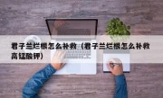 君子兰烂根怎么补救（君子兰烂根怎么补救 高锰酸钾）
